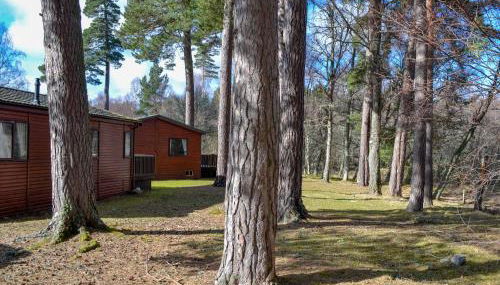 Lodge B- Uk33087 - Foto 4