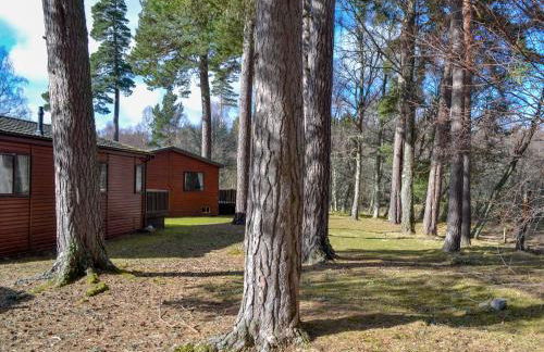 Lodge D- Uk33090 - Photo 15