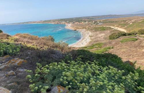 Figoli guesthouse - Foto 30