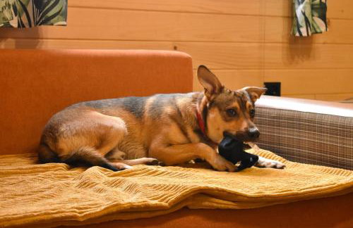 Domki Nad Potokiem - Foto 14