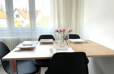 STRASBOURG CENTRE HISTORIQUE Accès direct en Tram et Aéroport - Foto 6