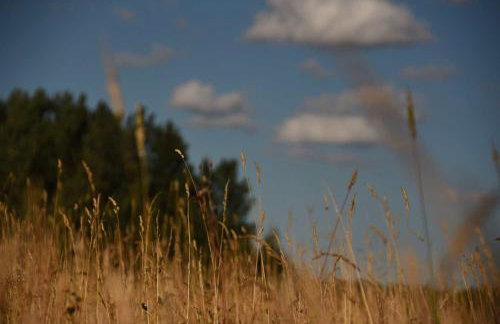 Siedlisko Szwałk - Foto 45