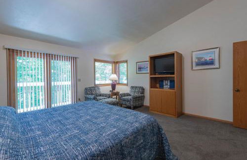 The Rushes - Foto 23