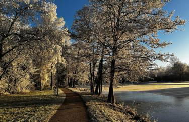 Schwarzwald Style - Ruhige & komfortable Fewo in zentraler Lage Solemar & Kliniken - Ideal für Kurgäste, Begleitpersonen, Berufspendler - Attraktiv für längere Aufenthalte - Foto 44