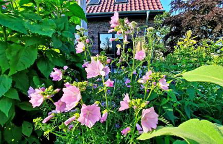 Klein-Tjücher-Grashaus 4 - Foto 17