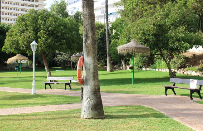 Torrealmadena - Foto 12