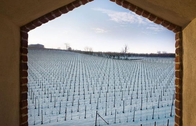 Cascina Baràc - Foto 20