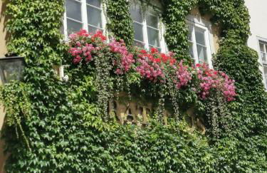 SchlossNest Isny - Denkmal Kultur Park Stadt - Foto 51