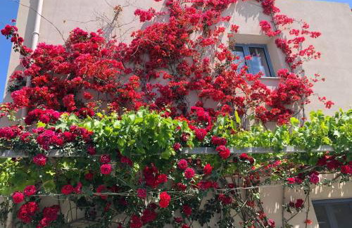 Nikolas Apartments - Foto 35