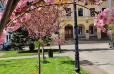 Apartament z kominkiem RetroGlam - Foto 23