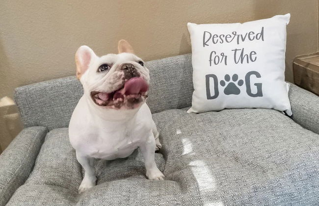 Luxury Lookout Canyon 5 Bdrm Stunner W/htd Pool! - Foto 24