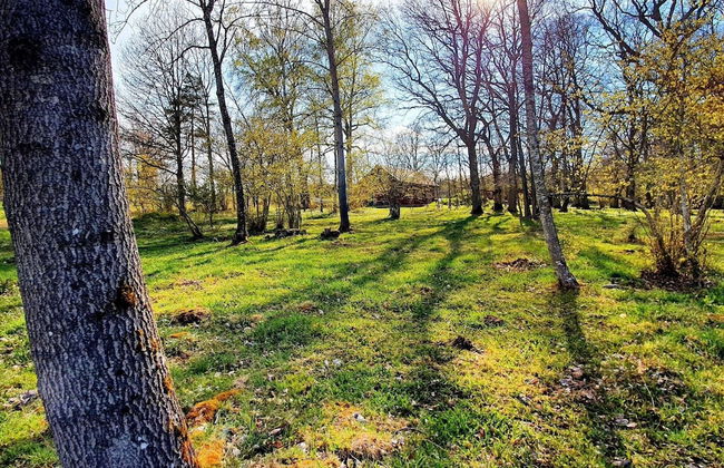 5 Person Holiday Home in Hallekis - Photo 21