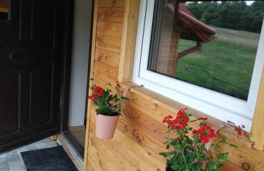 Ranczo pod lasem - Foto 1