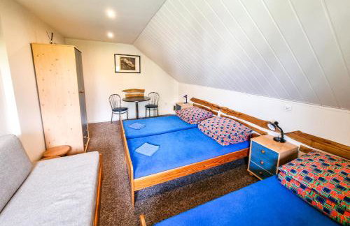 Agroturystyka Alfa - Foto 30