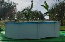 Lodge Rabasquinha - Photo 10