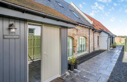 Mayflower - Uk43632 - Photo 4