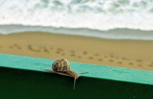 Rincón de Mar - Foto 11