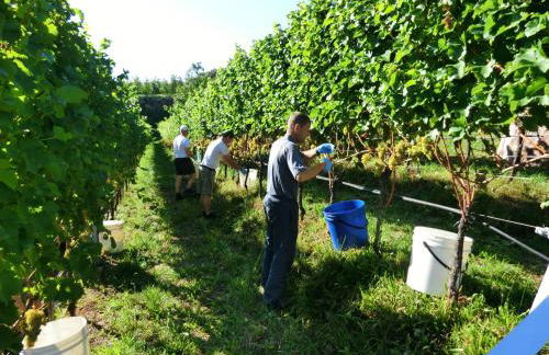 Huebenburg - Foto 47