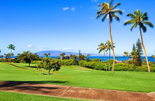 Kaanapali Plantation 54 - Photo 37