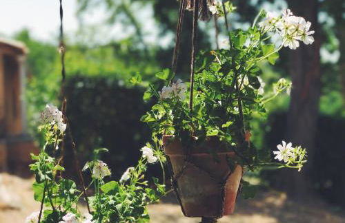 Cottage in Castellnou With Forest Trails - Foto 67