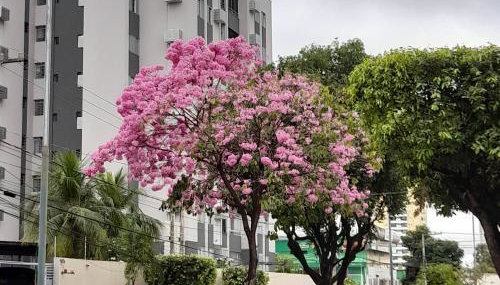 Quarto em Apto ao lado Shopping - Foto 4