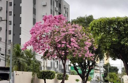 Quarto em Apto ao lado Shopping - Foto 4