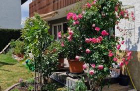 Ferienwohnung Wiesental 89331 Burgau, Wiesentalstrasse 1 - Foto 74