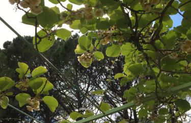 Villa La Marpierre - Foto 36