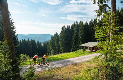 Berghaus zum Hirsch - Foto 49