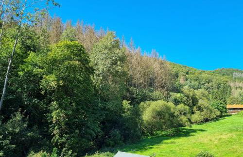 Das-Urlaubszuhause-fuer-Familien-Grossfamilien-Mehrfamilien-und-kleine-Gruppen-bis-zum-12-Personen-mit-vielen-Unterhaltungsmoeglichkeiten-im-Harz - Foto 43