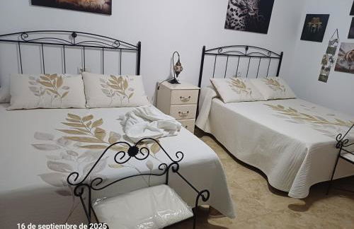 Cortijo del carmen - Photo 13