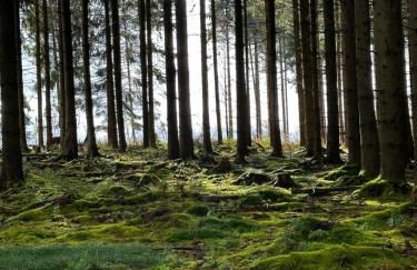 TreffPunkt Gruppenhaus für 22 Personen mit großem Aufenthaltsraum und Küche - Foto 25
