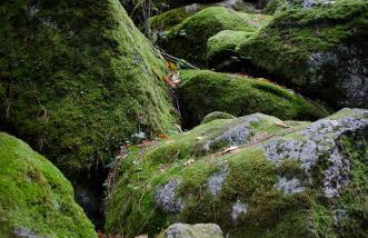 Casas do Soito - Foto 25