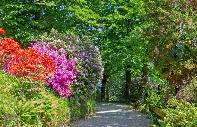 Villa Tagini 10 minutes from Stresa - Foto 41
