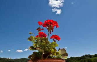 Relais Parco Del Subasio - Photo 65