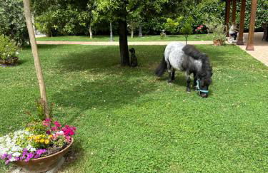 Family Farm Soc. Agr. a r.l. - Foto 24