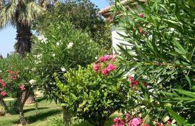 LagoVista45 - Foto 20