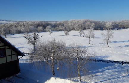 Ferienwohnung zur Saaleaue - Foto 21