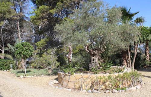 Casa del Canto, Calapanizo - Foto 72