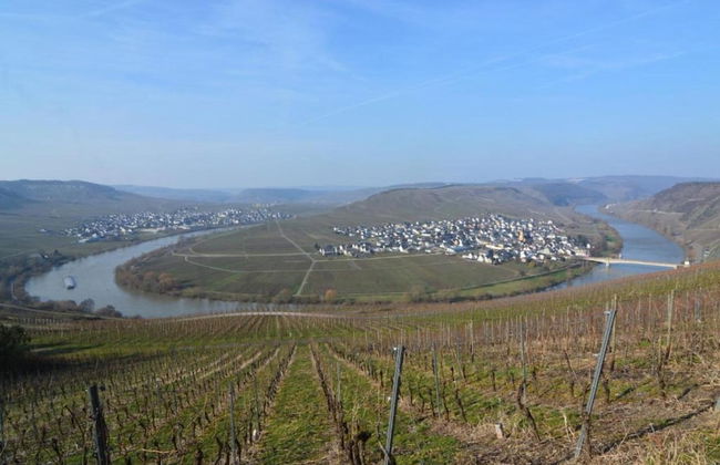 Garden Retreat With Pond View - Photo 37