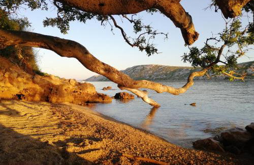 Apartmani Katarina - Foto 48