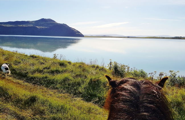 Vorsabær 2 Holiday Home - Foto 23