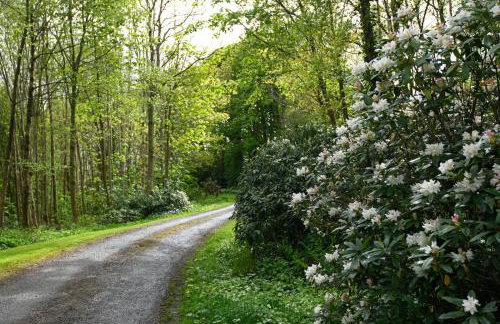 Tower Lodge - Foto 9