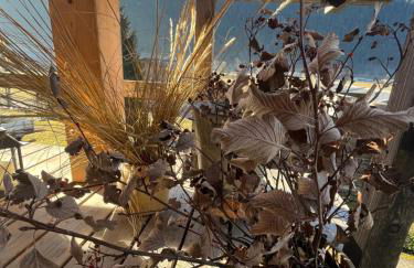 Chalet la poipia - Foto 30