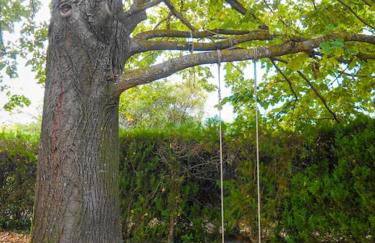 Maison de campagne avec Piscine - Photo 75