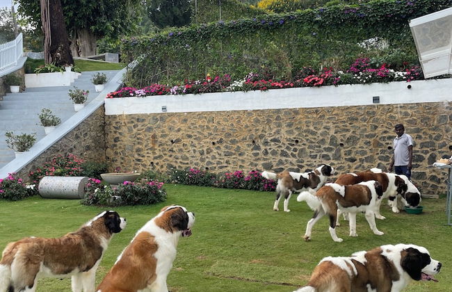 Benito Bungalow by The Serendipity Collection - Photo 18