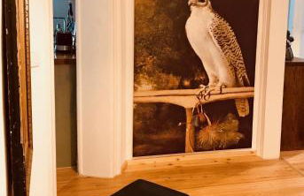 Villa Friedrich - Foto 21