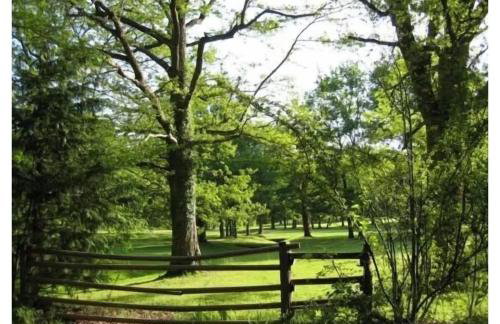 Apartamento ll - Photo 12