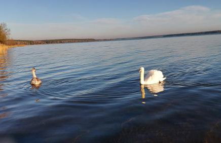 Dom wypoczynkowy Jelonek - Foto 28