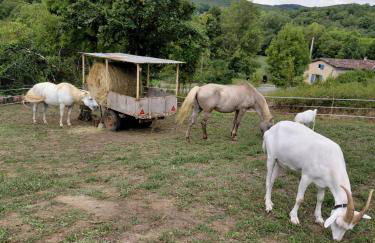 Gîte Ô Nature - Foto 50